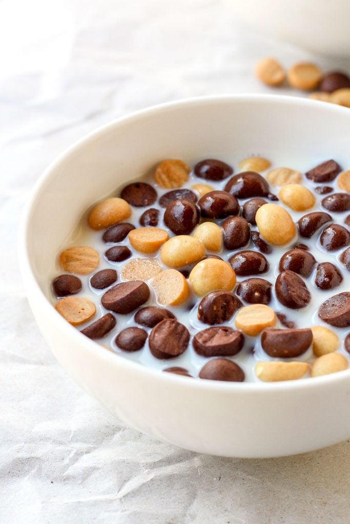 Homemade Vegan Chocolate Peanut Butter Cereals