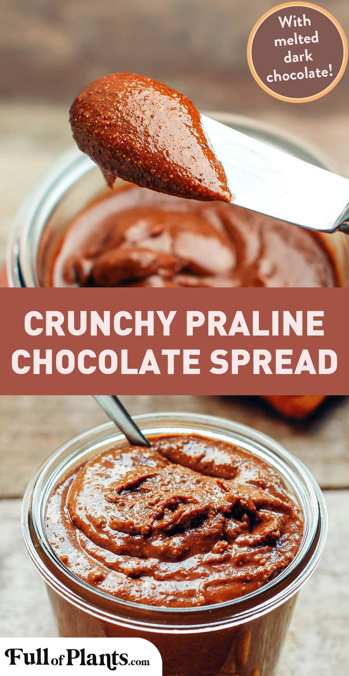 This praline chocolate spread is made with caramelized hazelnuts and almonds processed into a paste and combined with melted dark chocolate. It's crispy and delightfully nutty, making it the perfect topping for toast, pancakes, or crêpes! #praline #chocolate