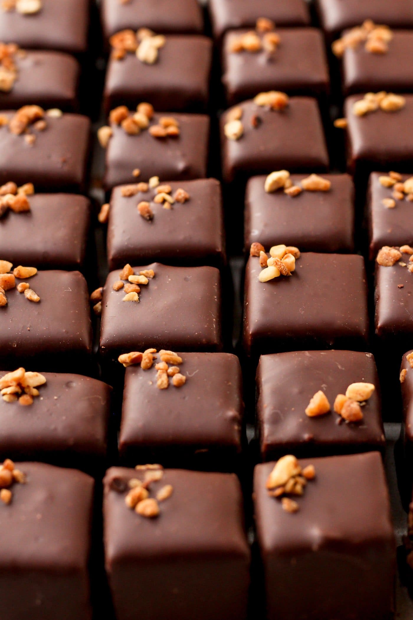 Vegan Praline Chocolates