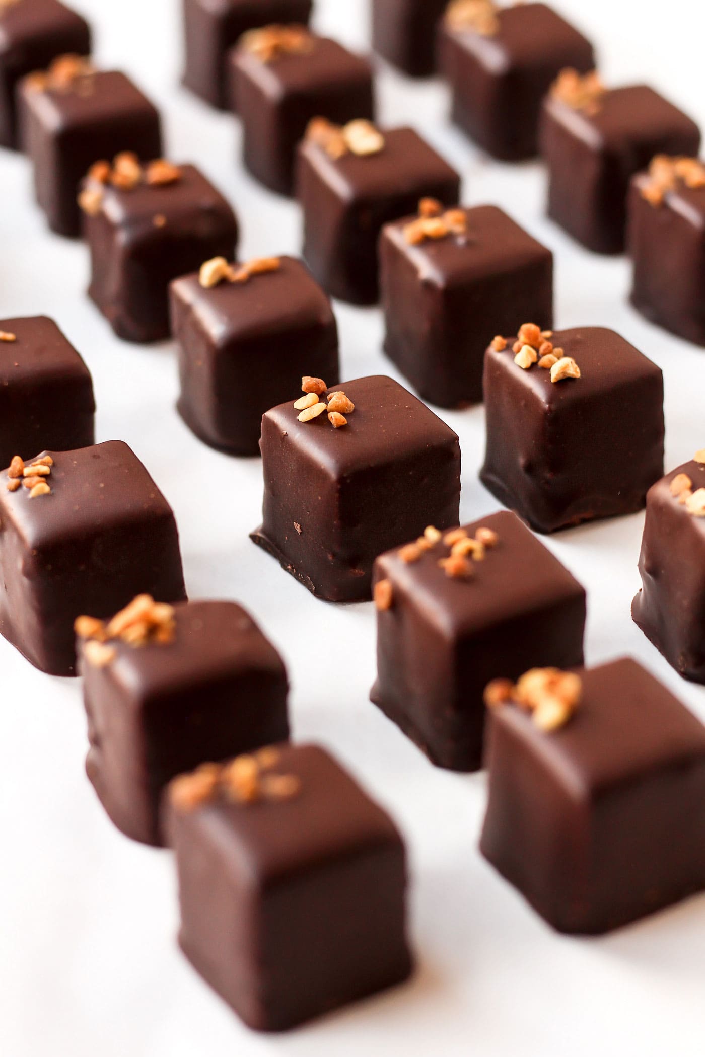 Vegan Praline Chocolates