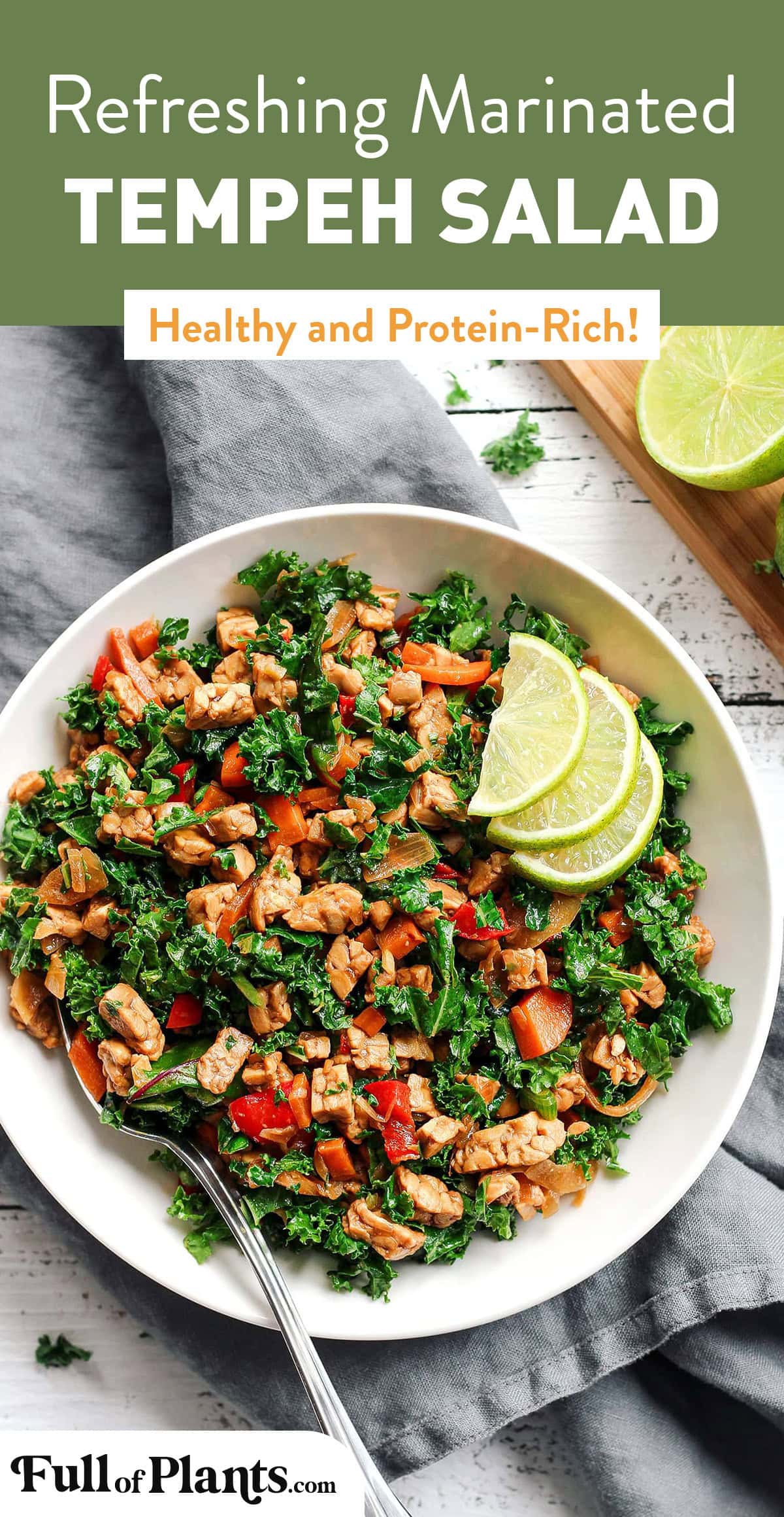 This easy marinated tempeh salad features diced tempeh, kale, and carrots infused with ginger, garlic, and a generous squeeze of lime juice for more freshness. A healthy, protein-rich salad that comes together in 25 minutes! #tempeh #salad