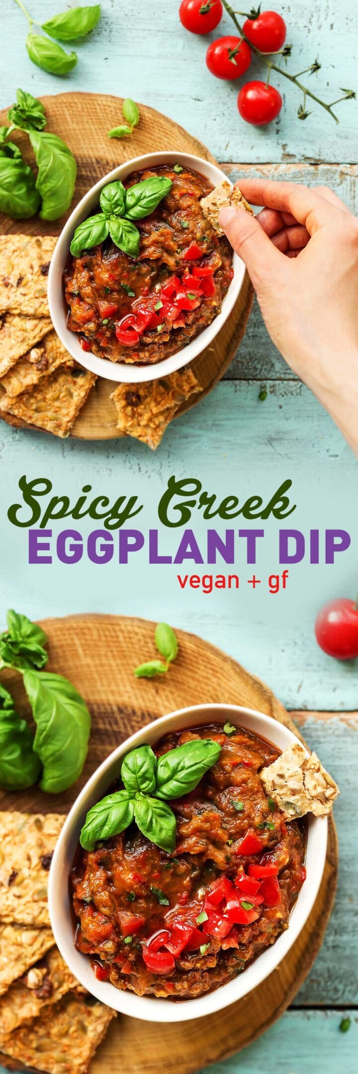 Spicy Greek Eggplant Dip Full of Plants