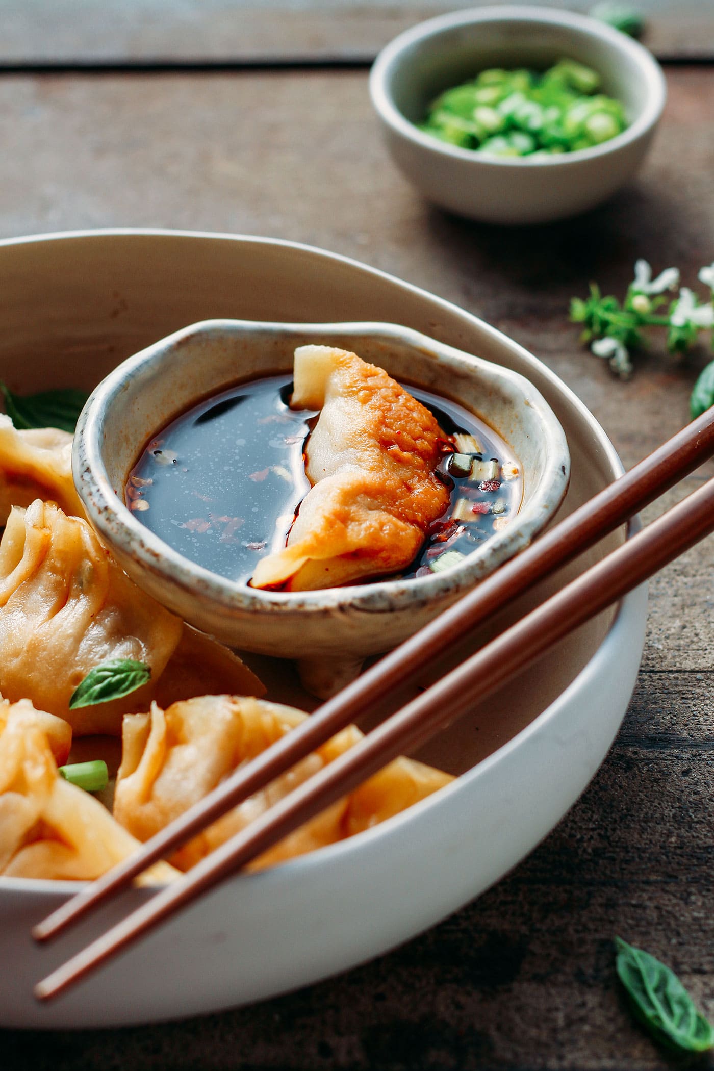 Vegan Jackfruit Potstickers