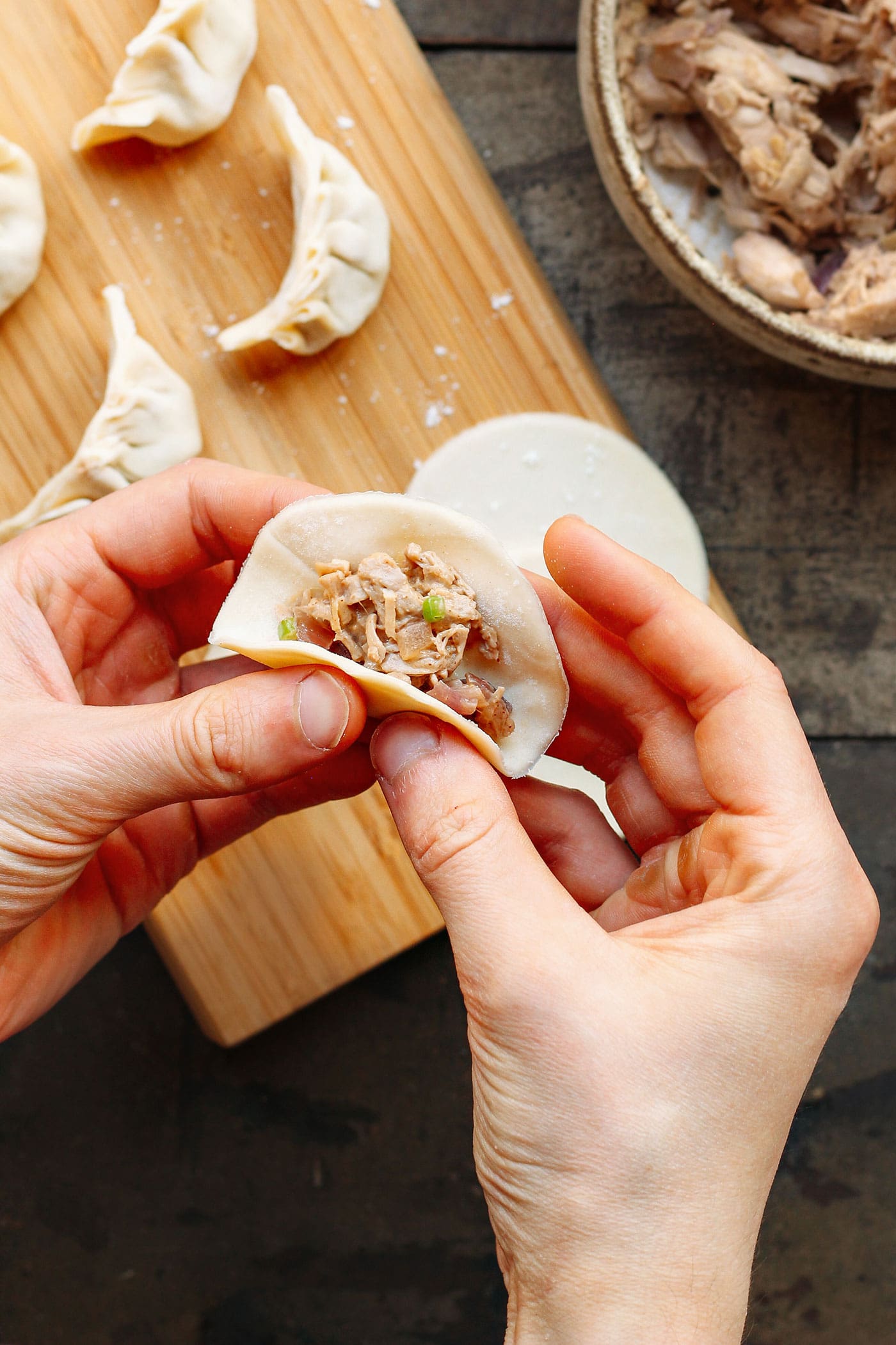 Vegan Jackfruit Potstickers