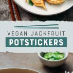 Vegan Jackfruit Potstickers