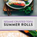 Sesame Crusted Tofu & Mango Summer Rolls