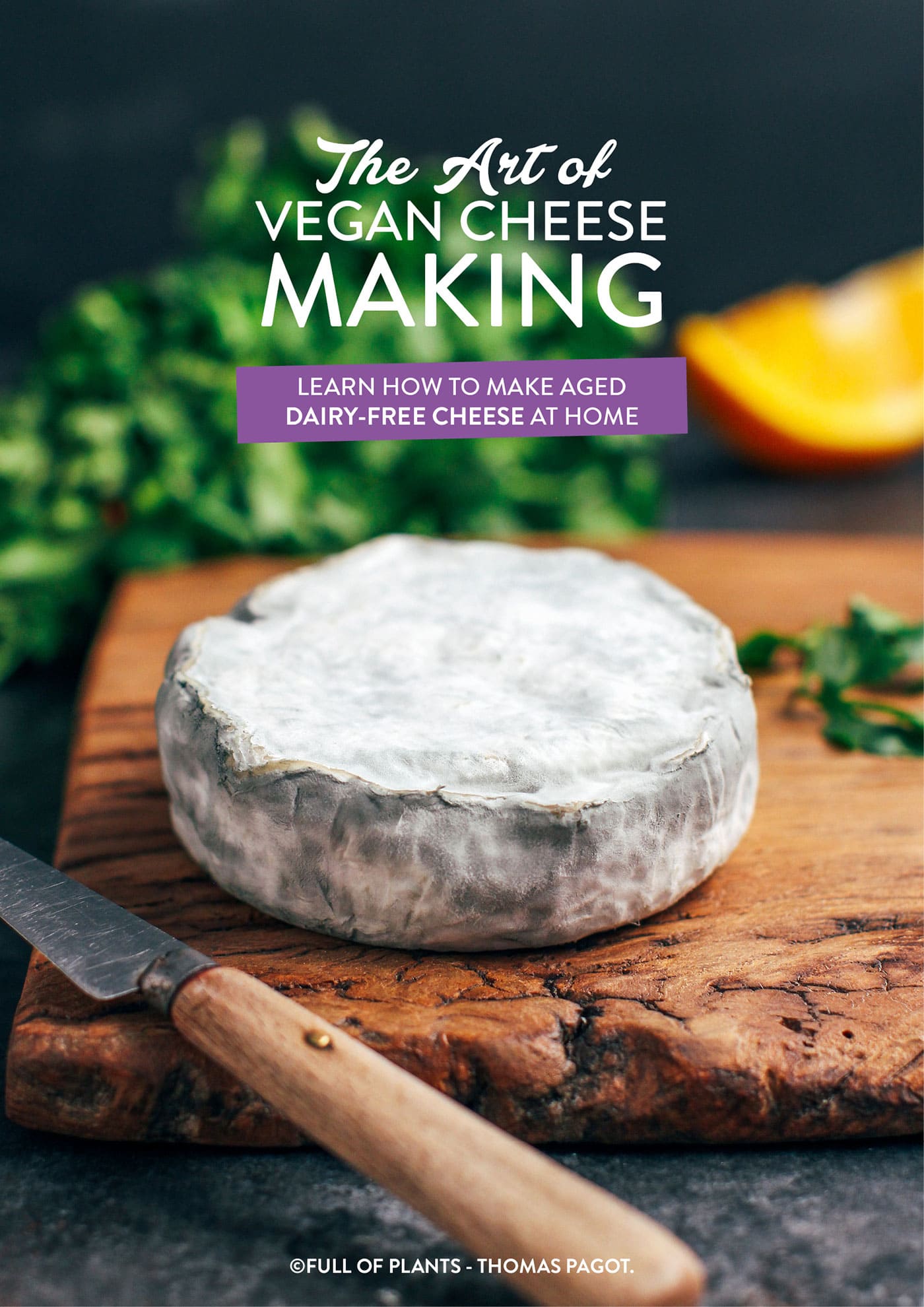 Uncovering the Art of Cheese Making: A Journey to Deliciousness