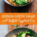 Quinoa Green Salad with Buffalo Eggplant