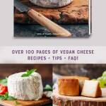 The Art of Vegan Cheese Making