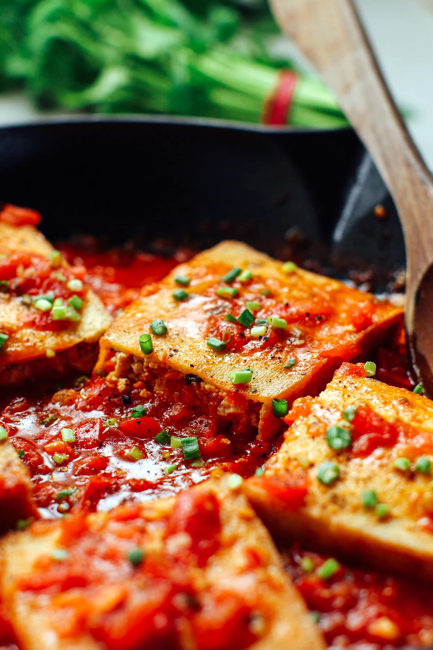 Vietnamese Tofu with Tomato Sauce (Vegan) - Veggie Anh