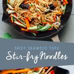 Seaweed Tofu Stir-Fry Noodles