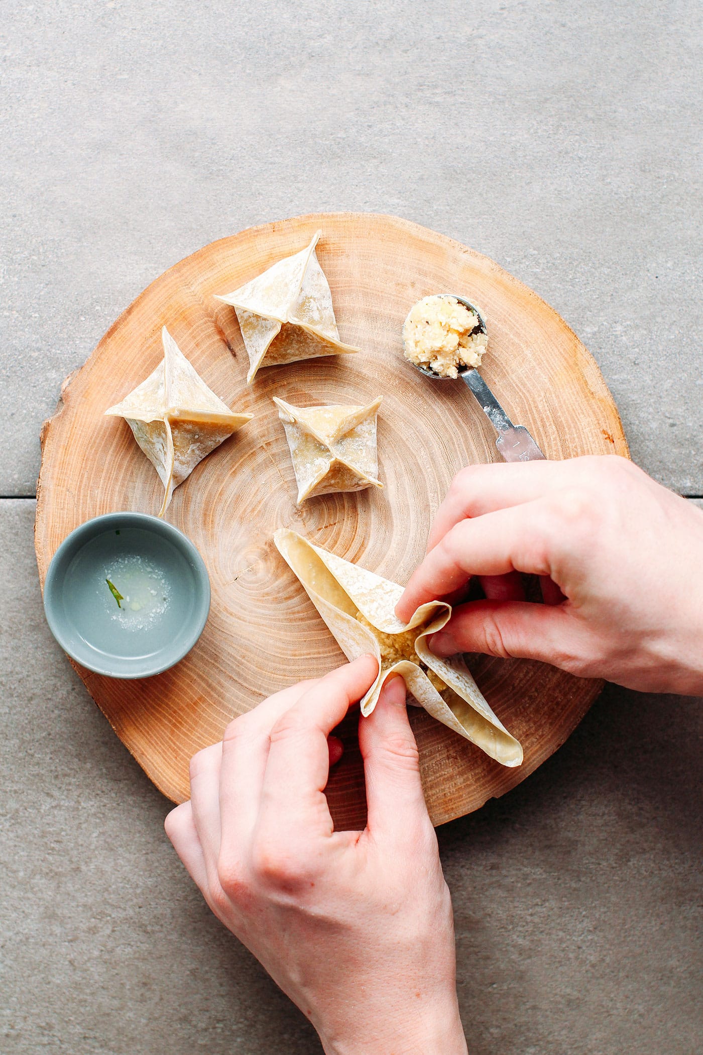 Vegan Fried Mung Bean Wontons