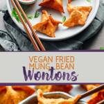 Vegan Fried Mung Bean Wontons