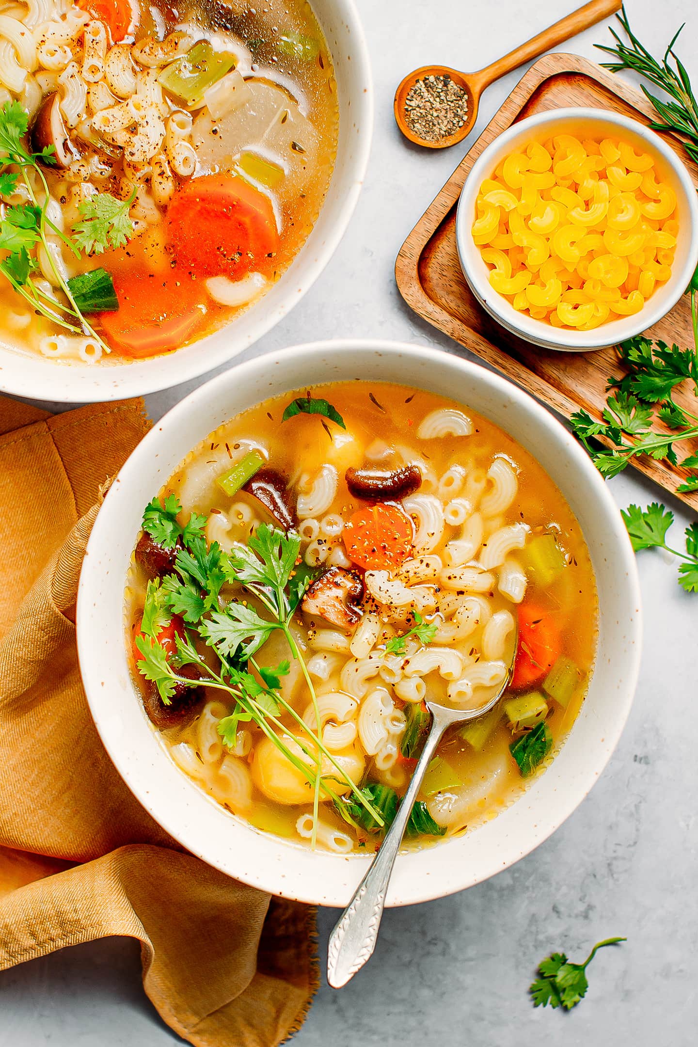 Rich Vegetable Macaroni Soup
