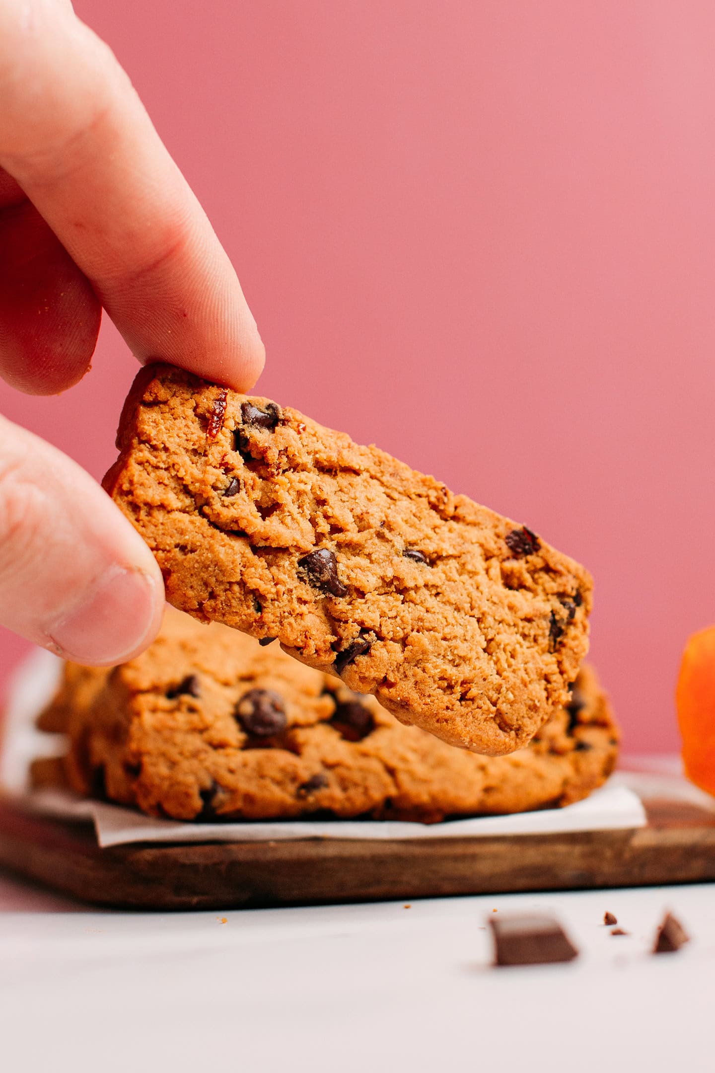 Close-up of a chocolate chip orange cookie.