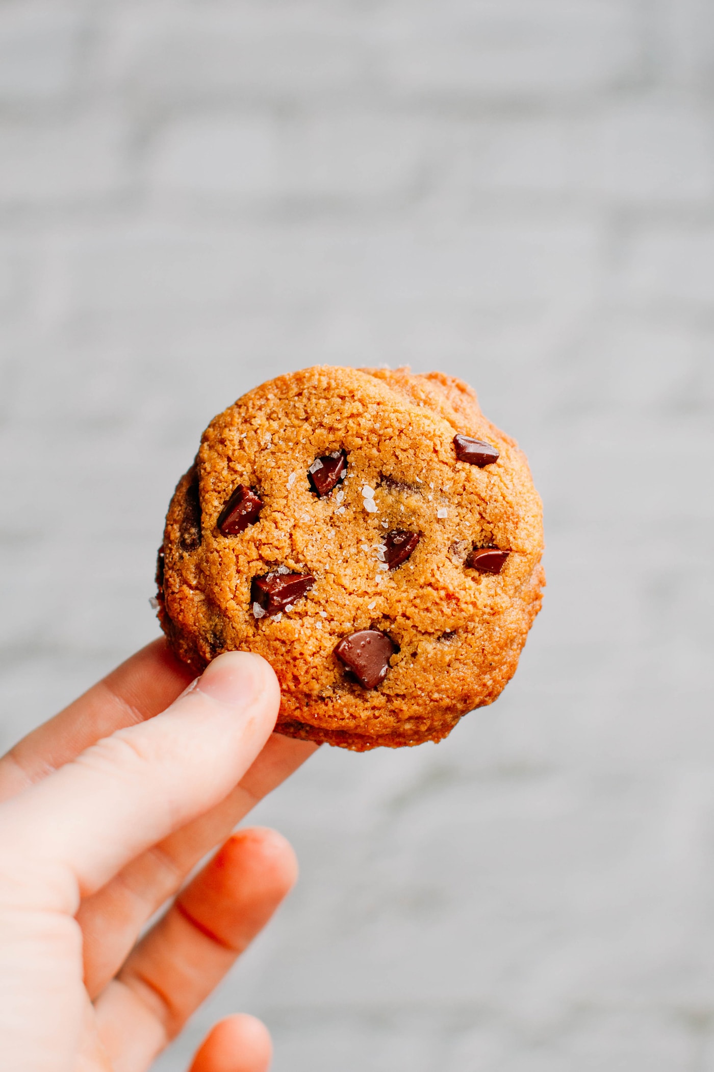 Vanilla Chocolate Chip Cookies (Vegan + GF)