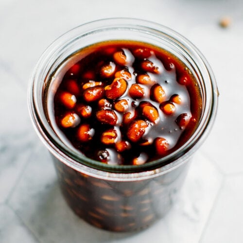 Vietnamese Soybean Sauce (Tương Hột)