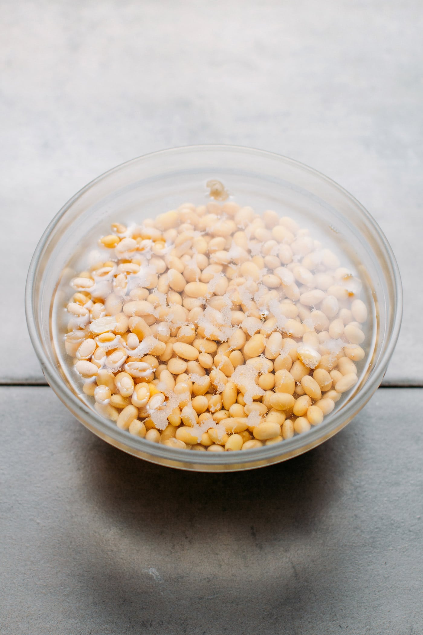 Okara Tempeh + Homemade Soy Milk