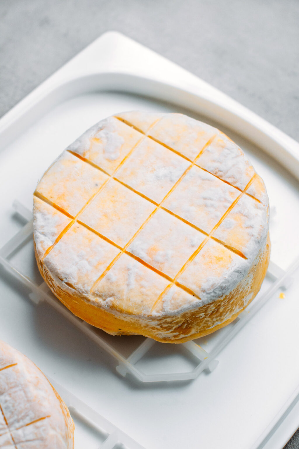 Washed Rind Cheese Process Vegan Washed-Rind Cheese - Full of Plants