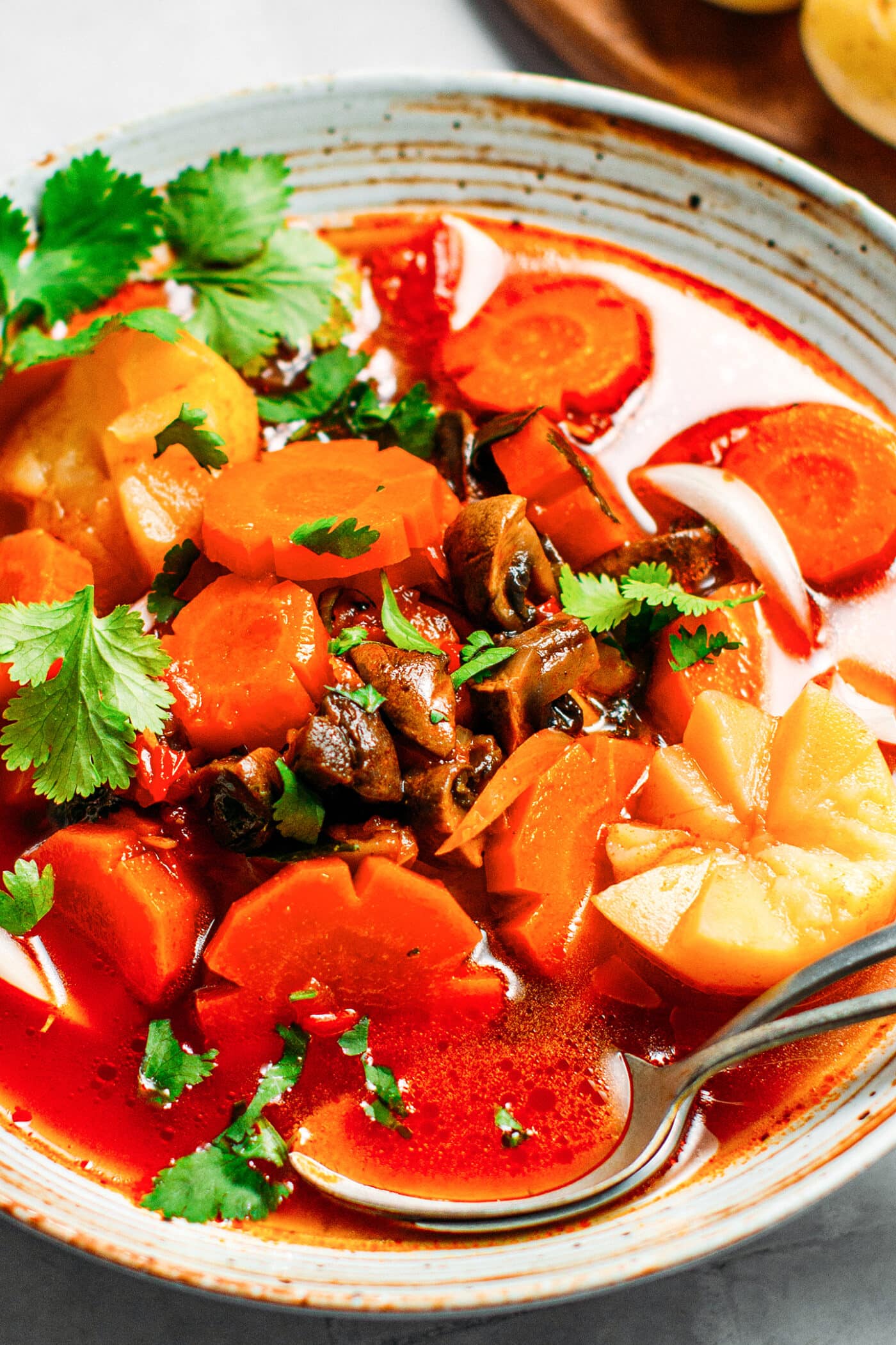 Close up of Vietnamese ragu with carrots, potatoes, and mushrooms.