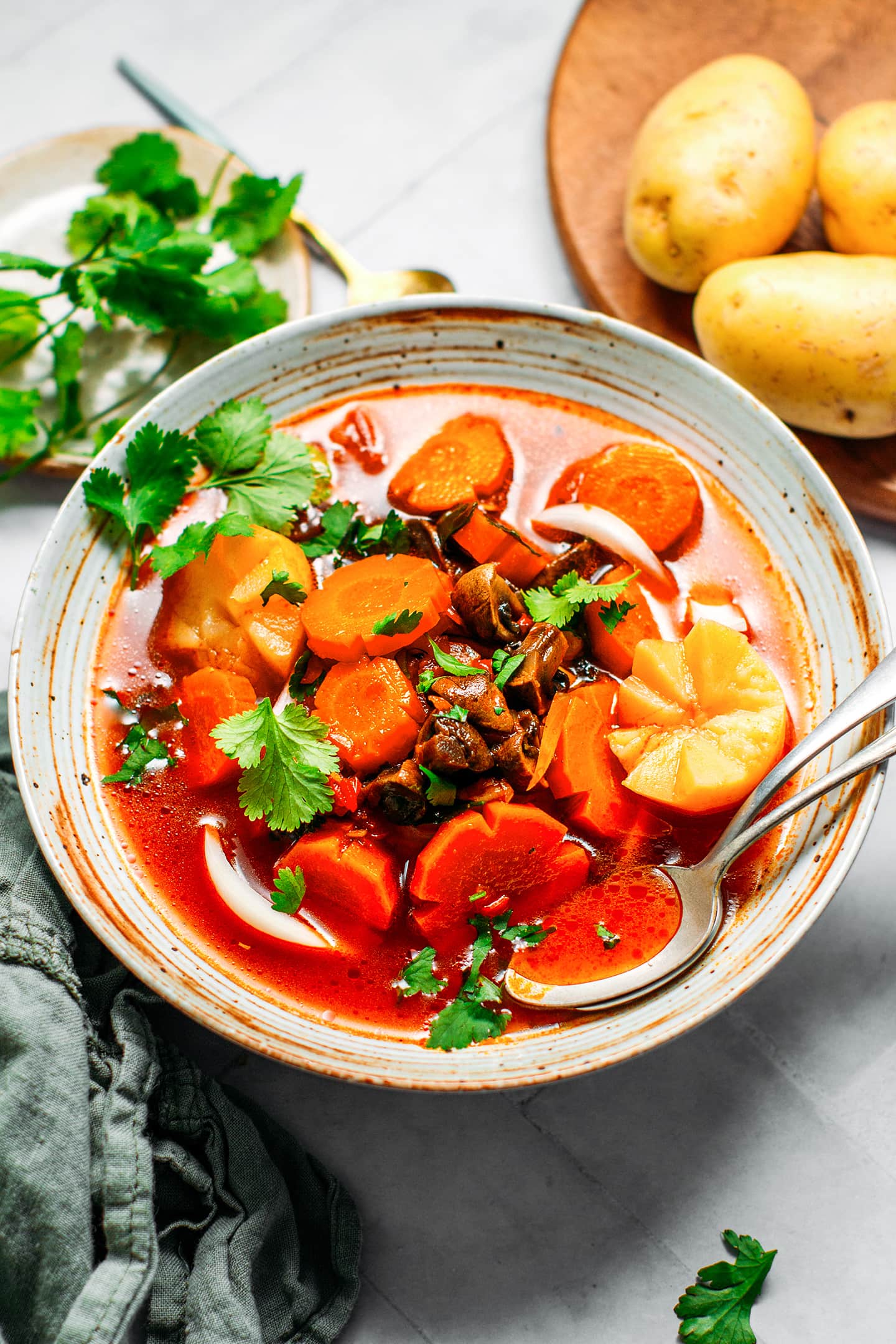 Vegan Vietnamese Ragu