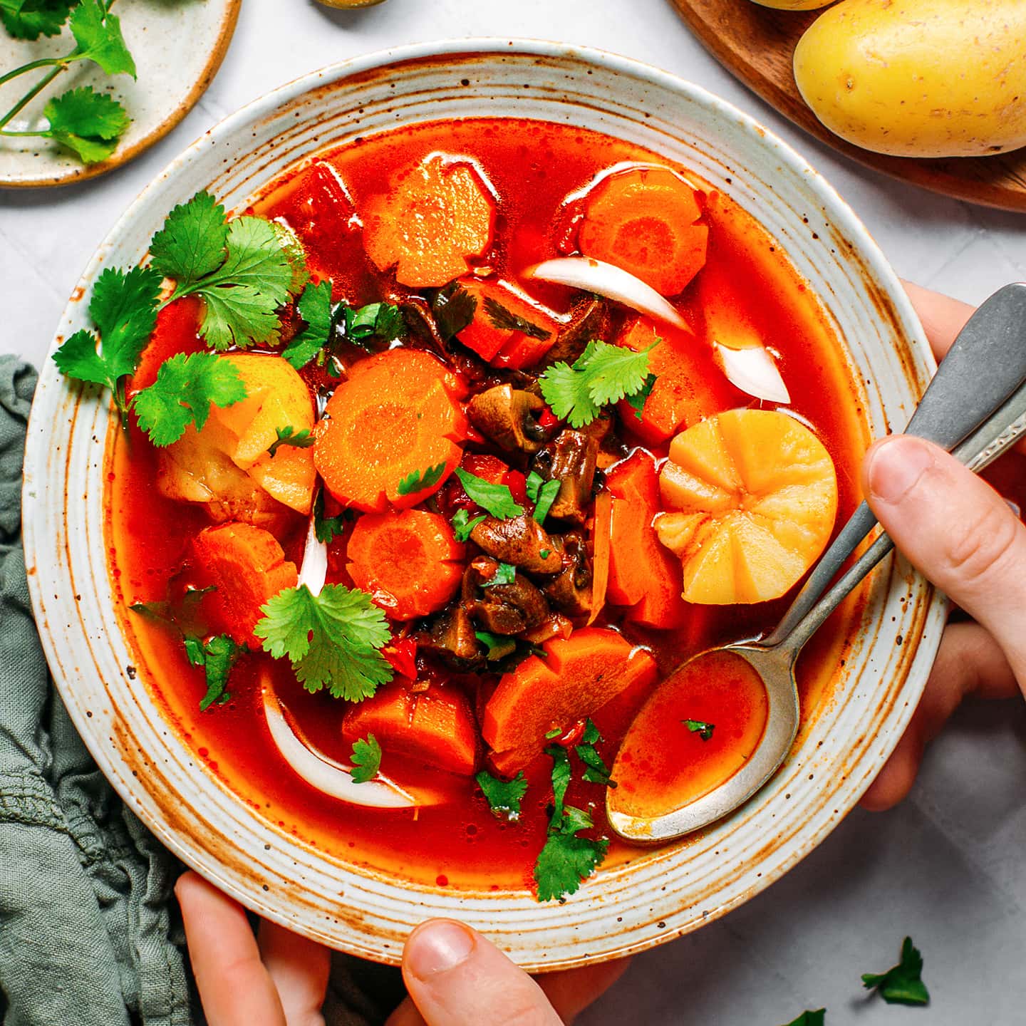 Vegan Vietnamese Ragu-image