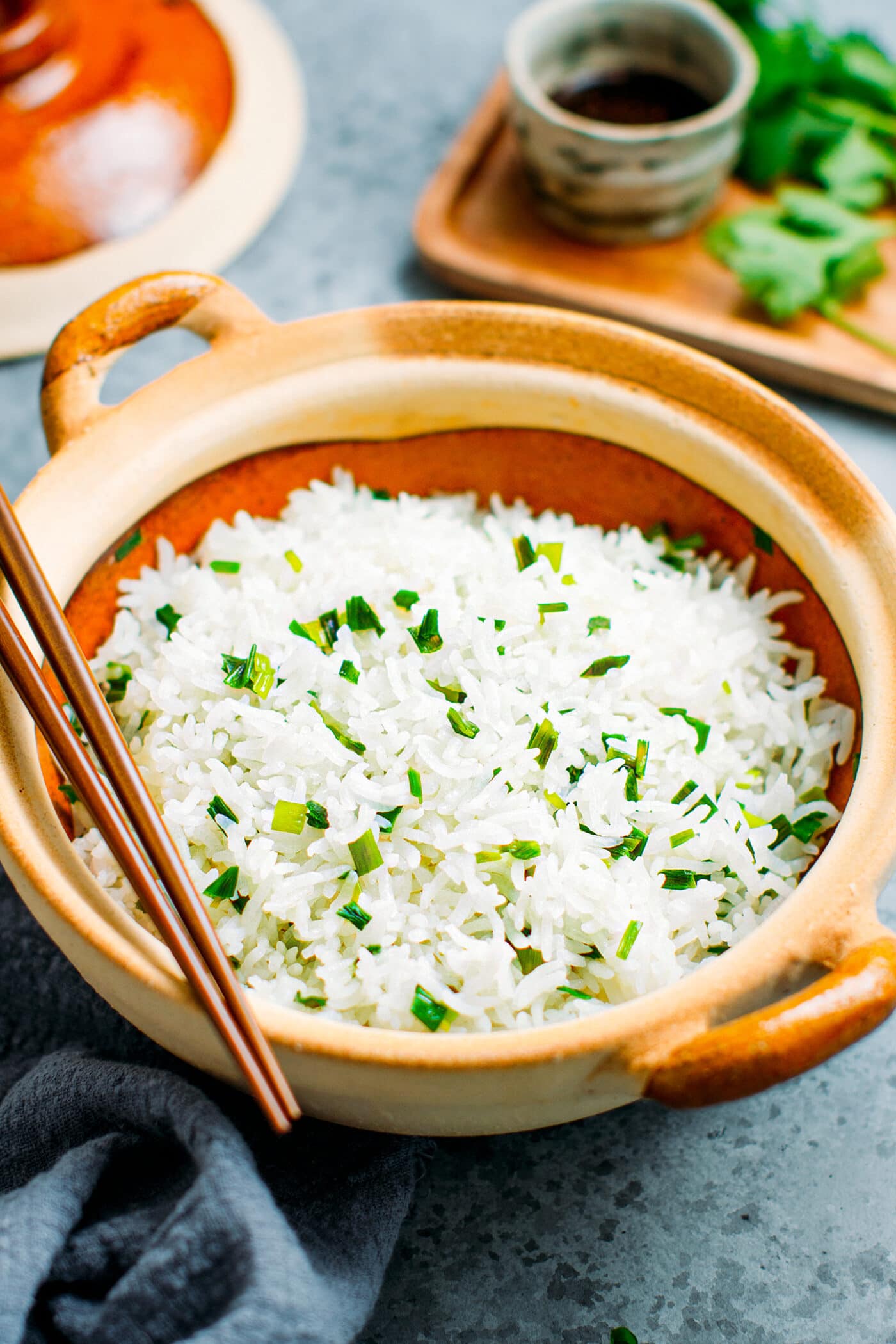 Perfect Clay Pot Rice - Full of Plants