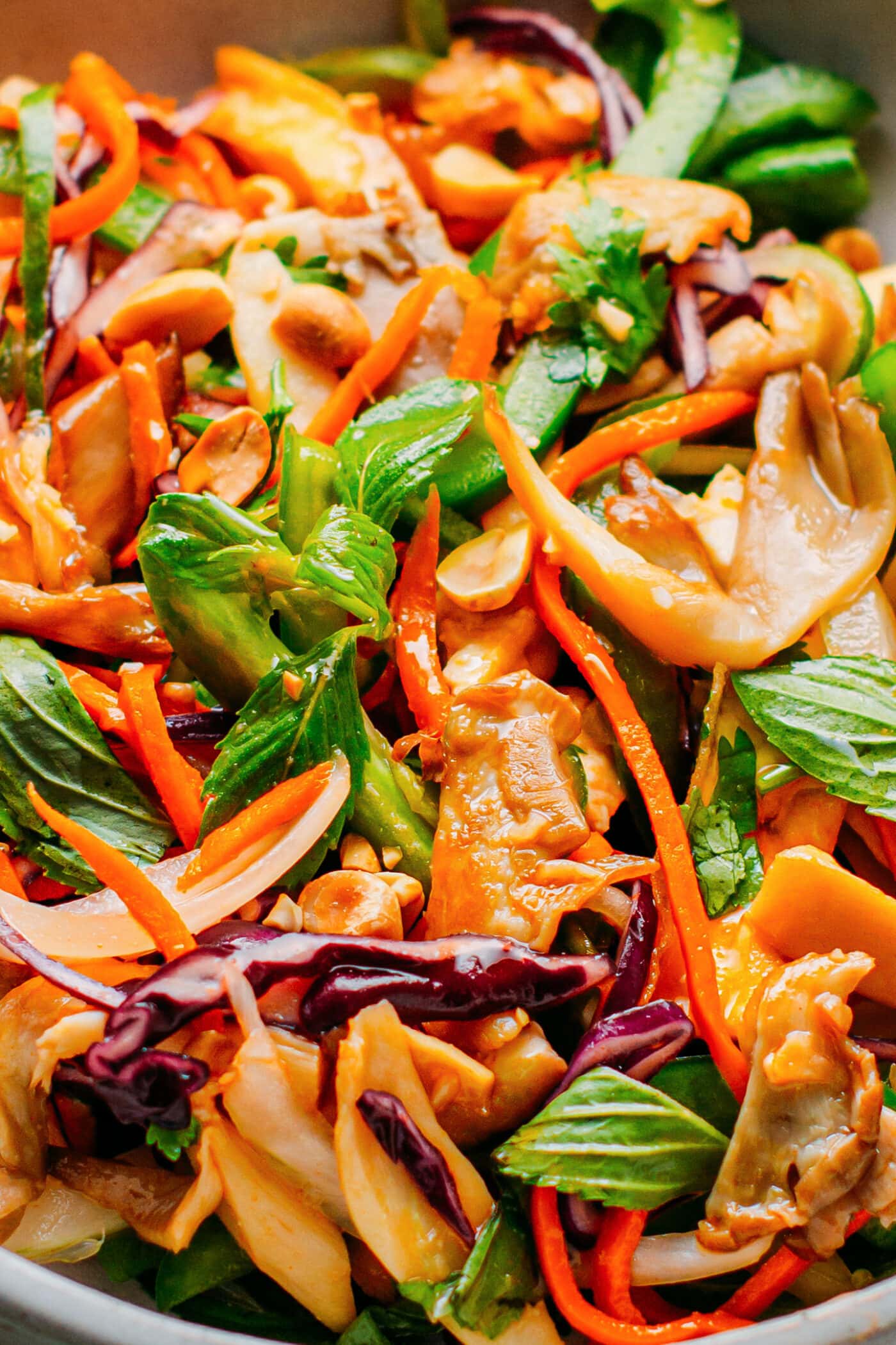 Close up of Vietnamese mushroom salad.