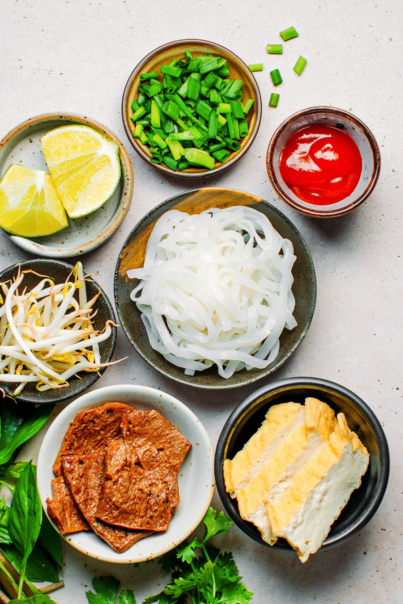 Ingredients like vegan beef, rice noodles, bean sprouts, tofu, green onions, and chili sauce.