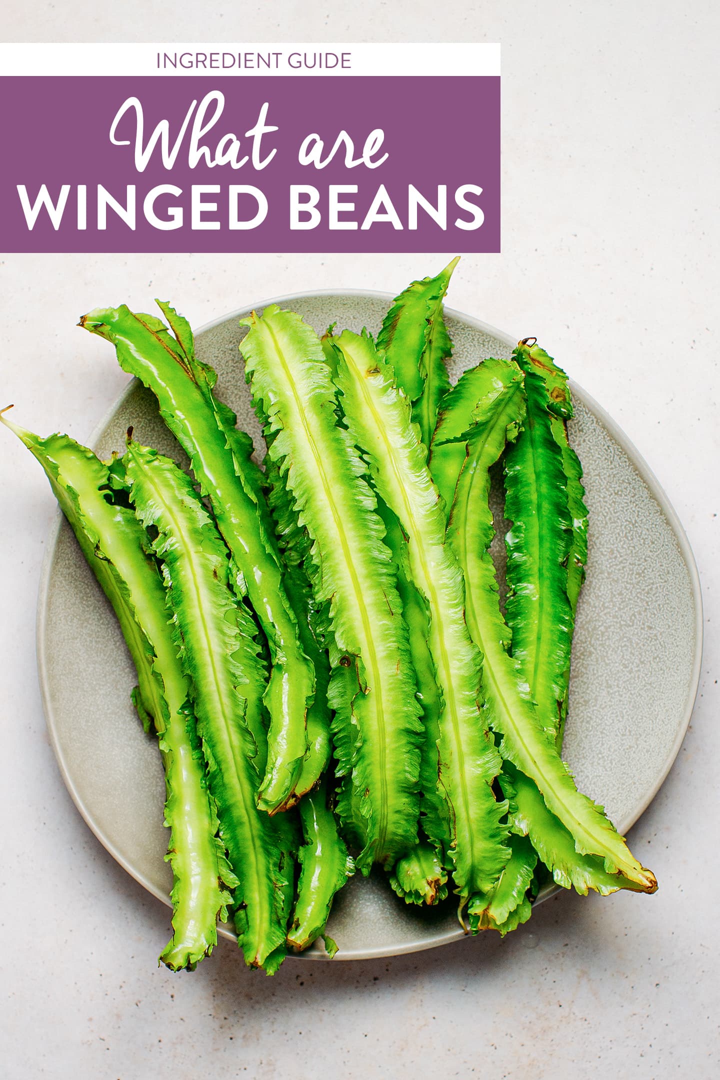 What are Winged Beans Full of Plants