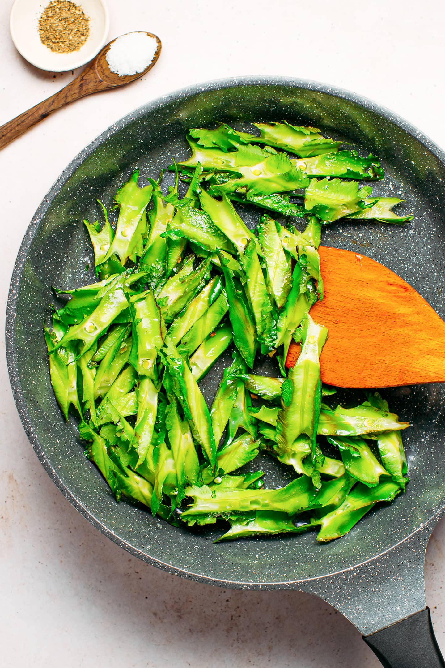 What are Winged Beans Full of Plants