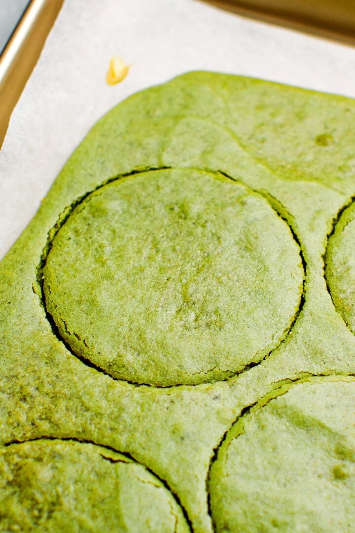 Cutting rounds of matcha sponge cake.