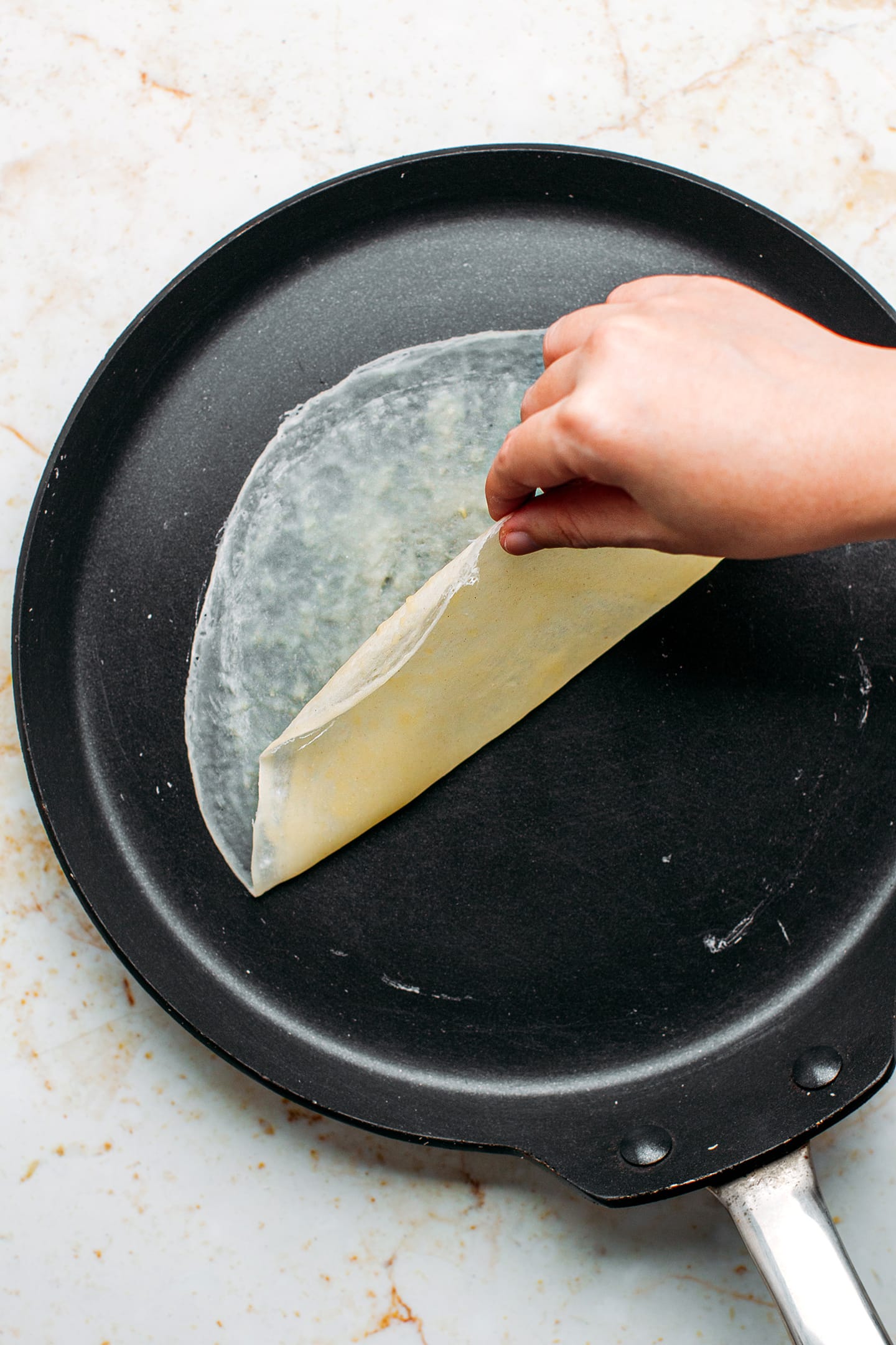 Homemade Egg Roll Wrappers Full of Plants