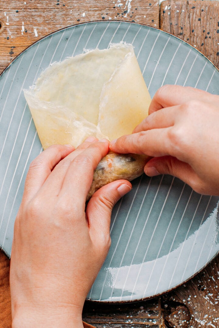 Homemade Egg Roll Wrappers Full of Plants