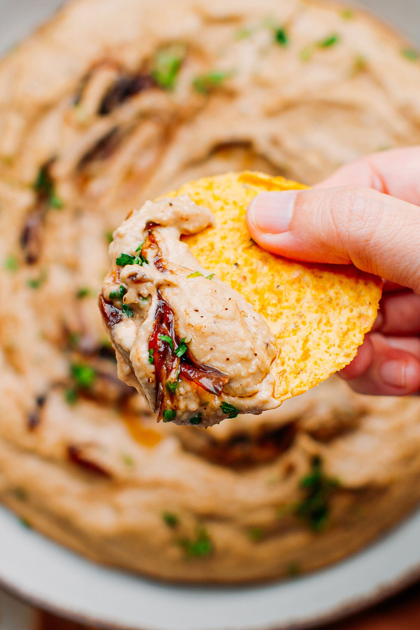 Close up of caramelized hummus on a tortilla chips.