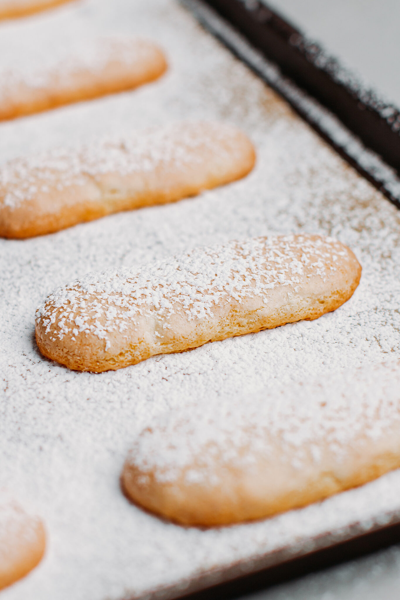 Vegan Ladyfingers (Savoiardi) Full of Plants
