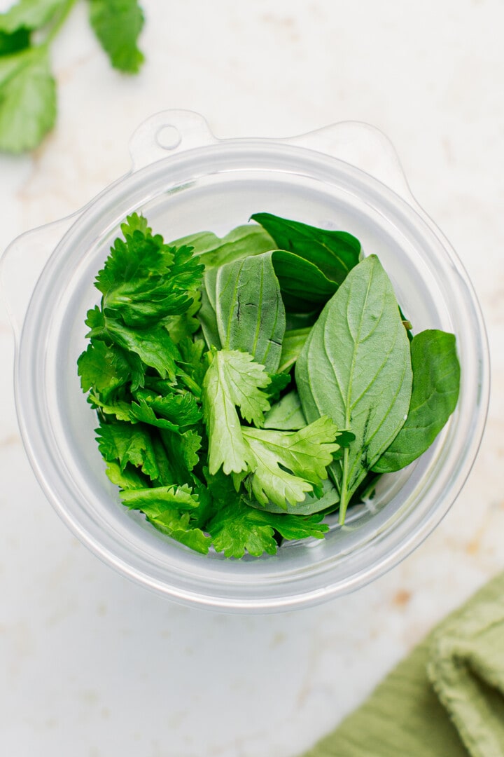 Cilantro and Thai basil in a blender.