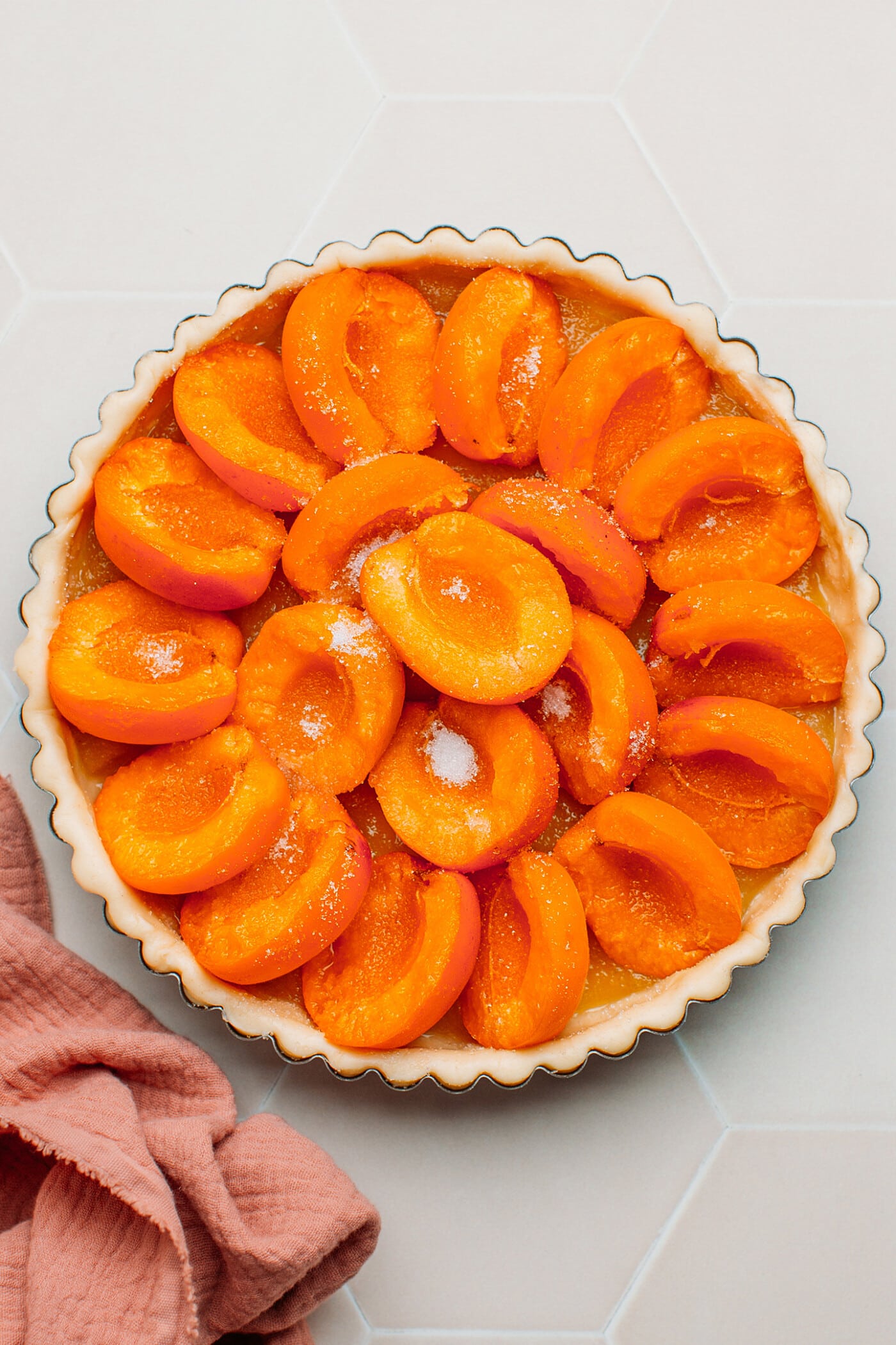 Apricot Tart - Full of Plants