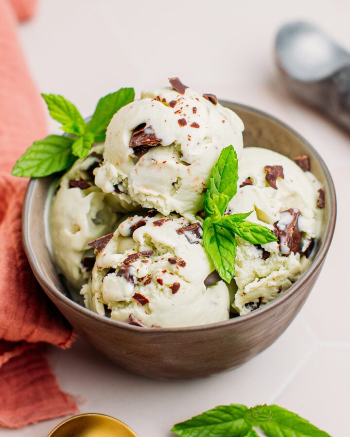 Vegan Mint Chocolate Chip Ice Cream