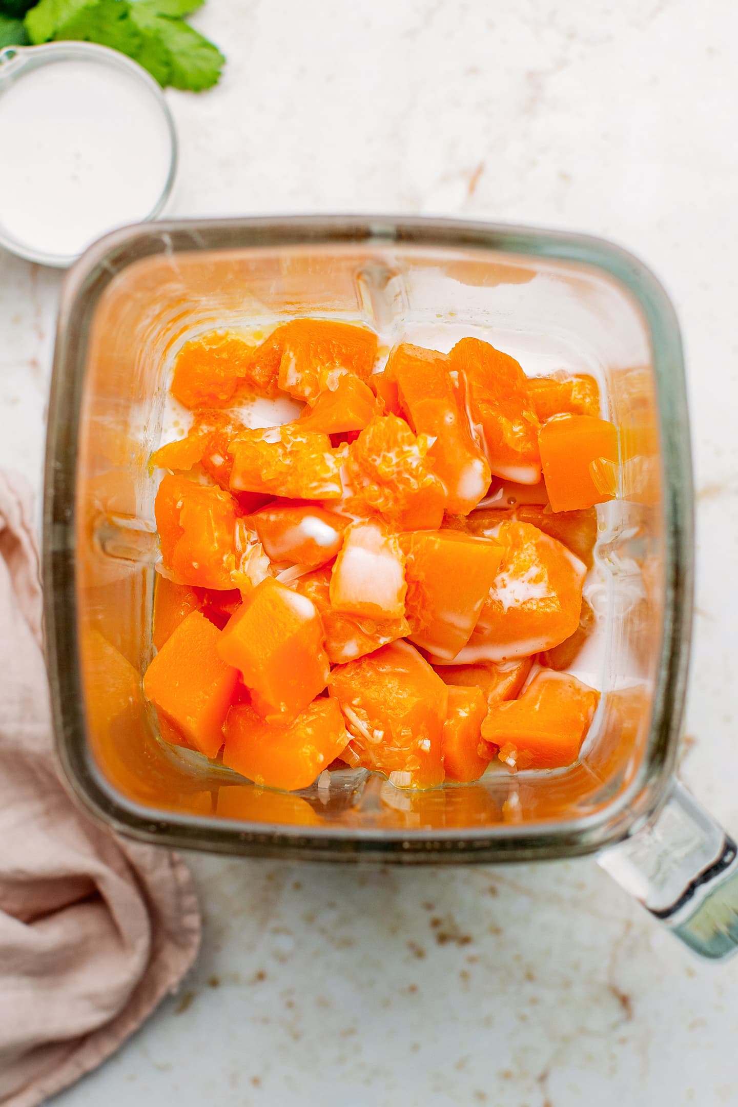 Cooked butternut and coconut milk in a blender.