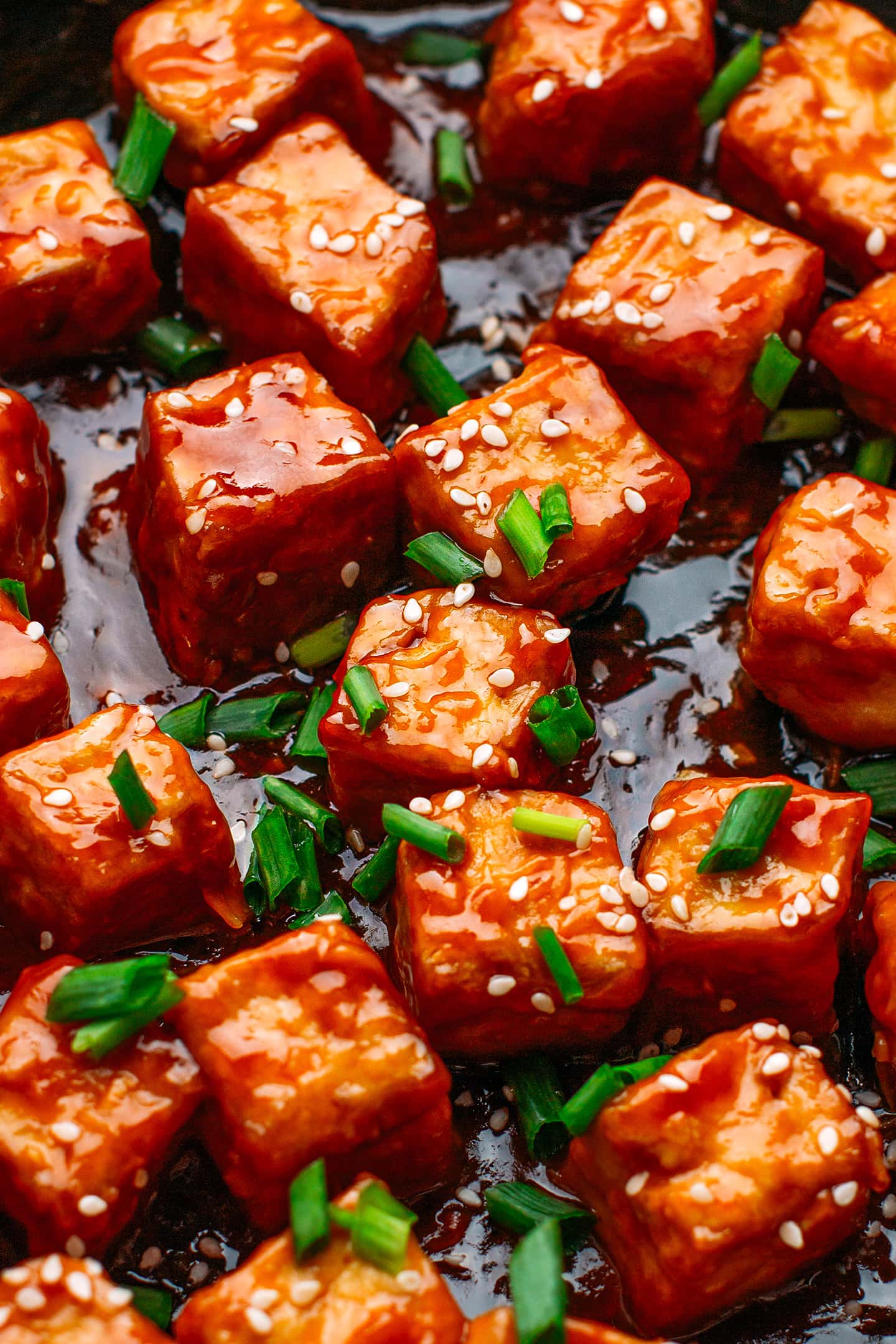 Close-up of saucy tofu with green onions and sesame seeds.