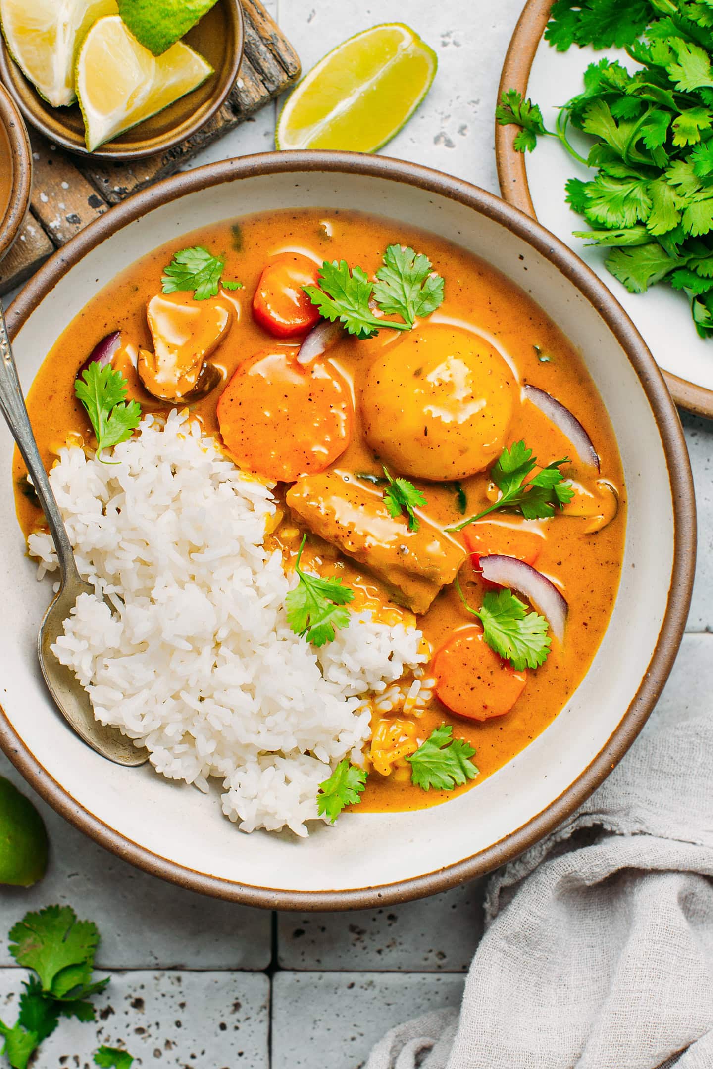 Vietnamese curry with potatoes, eggplants, and rice.