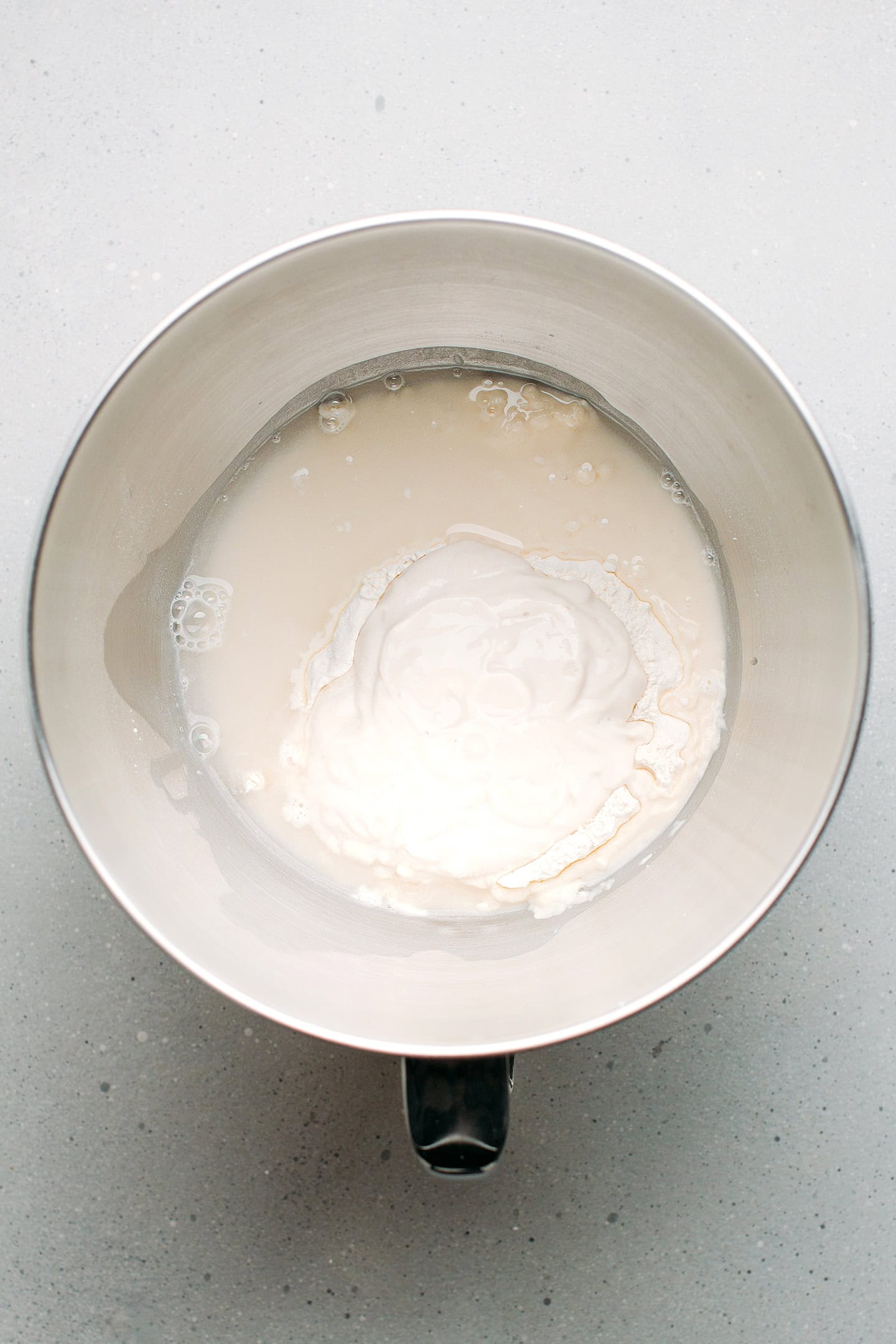 Flour, yogurt, water, and salt in a stand mixer.