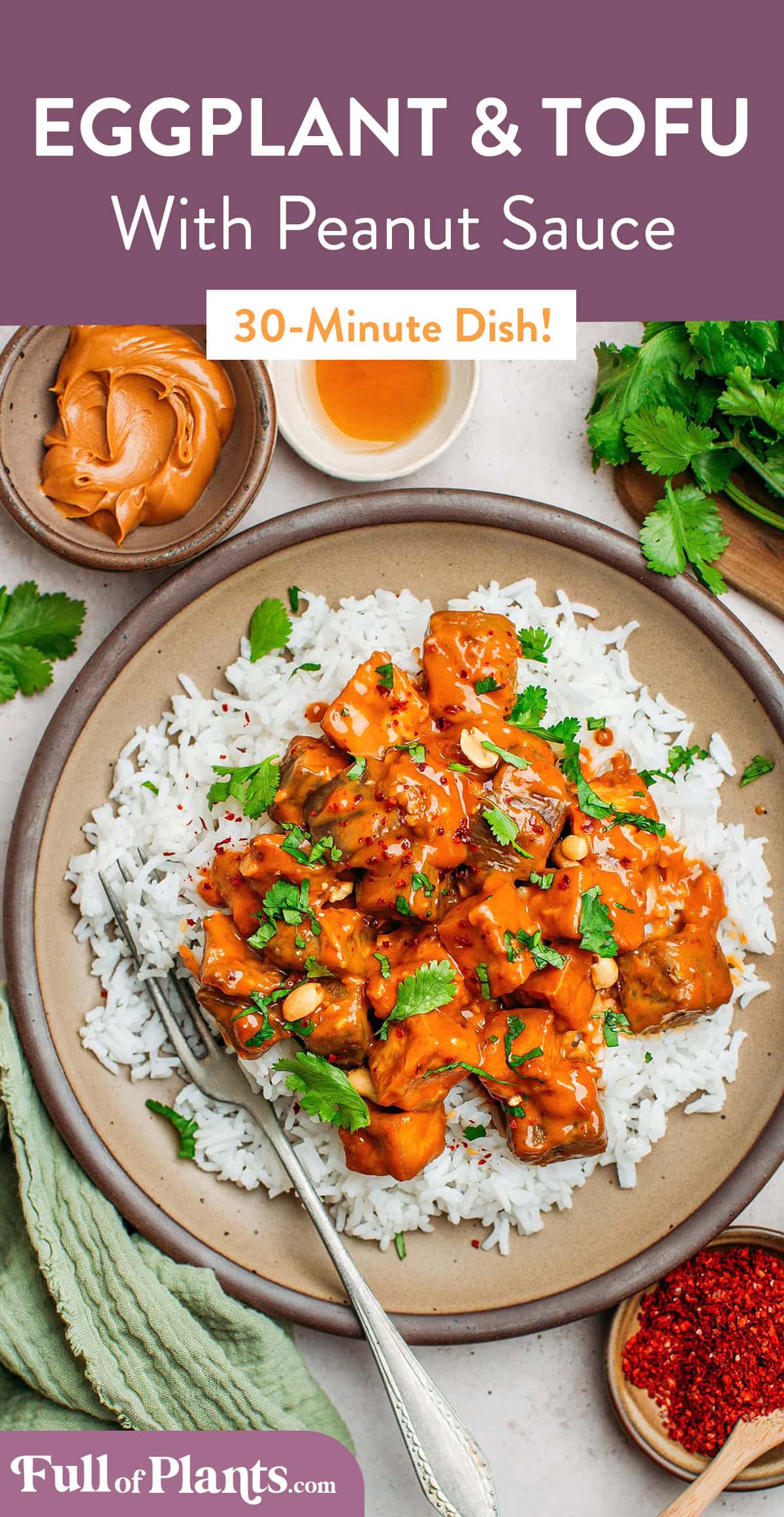 Sautéed tofu and eggplant cooked in a rich, creamy, and spicy satay peanut sauce! Delicious over steamed white rice! #vegan #tofu #plantbased