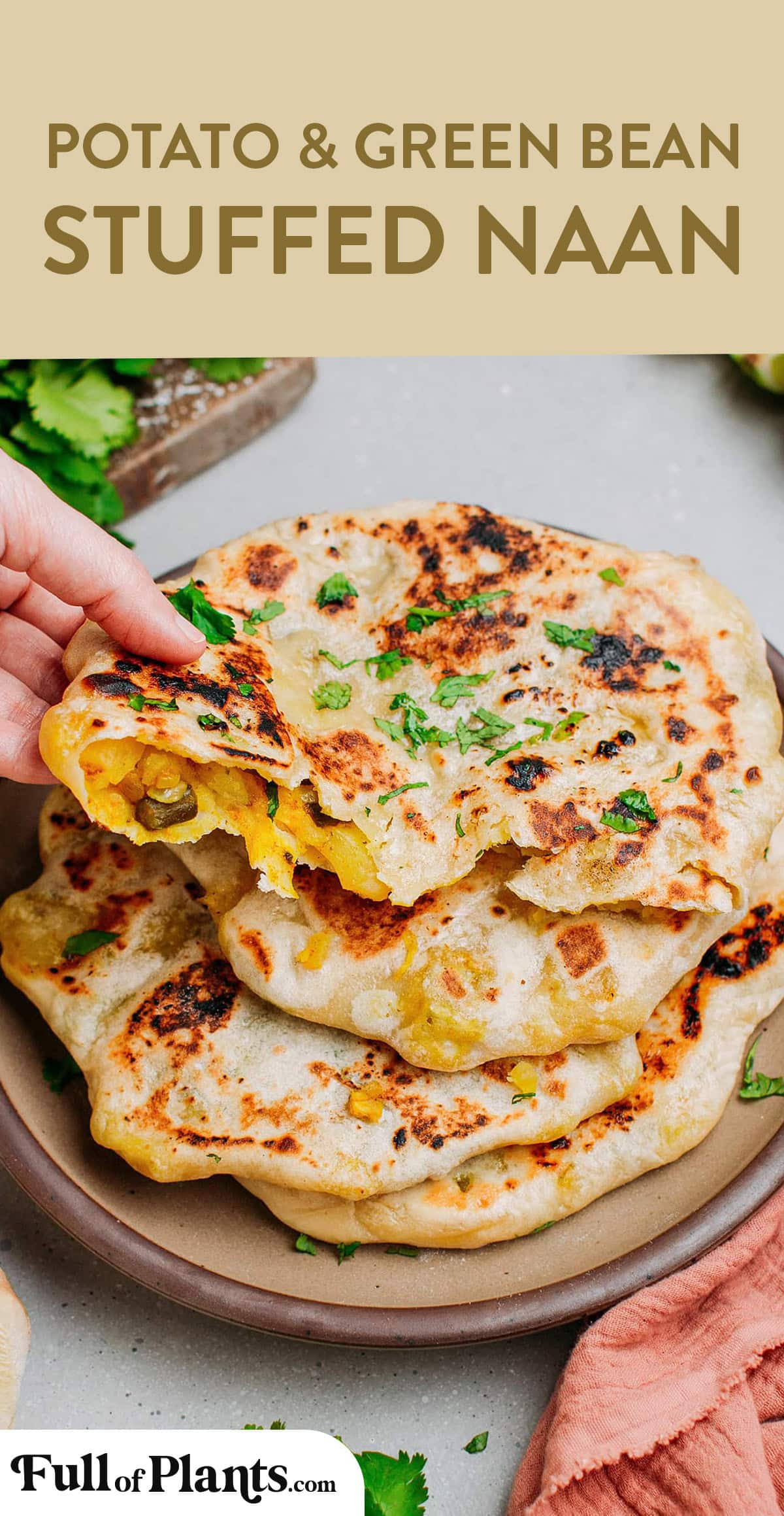 This potato & green bean stuffed naan, called Aloo naan, is thin and SO tender. It's stuffed with a filling made of potatoes and green beans infused with Indian spices and aromatics such as onion, garlic, and ginger. It's savory, buttery, and has a hint of spiciness! #naan