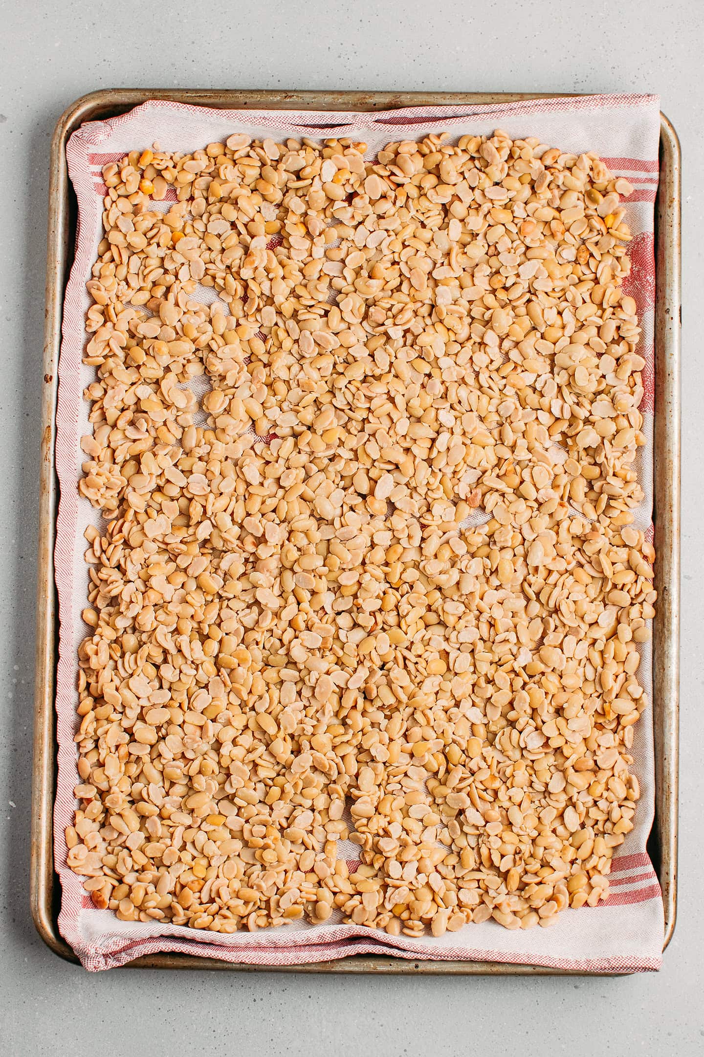 Cooked soybeans spread on a baking sheet lined with a kitchen towel.
