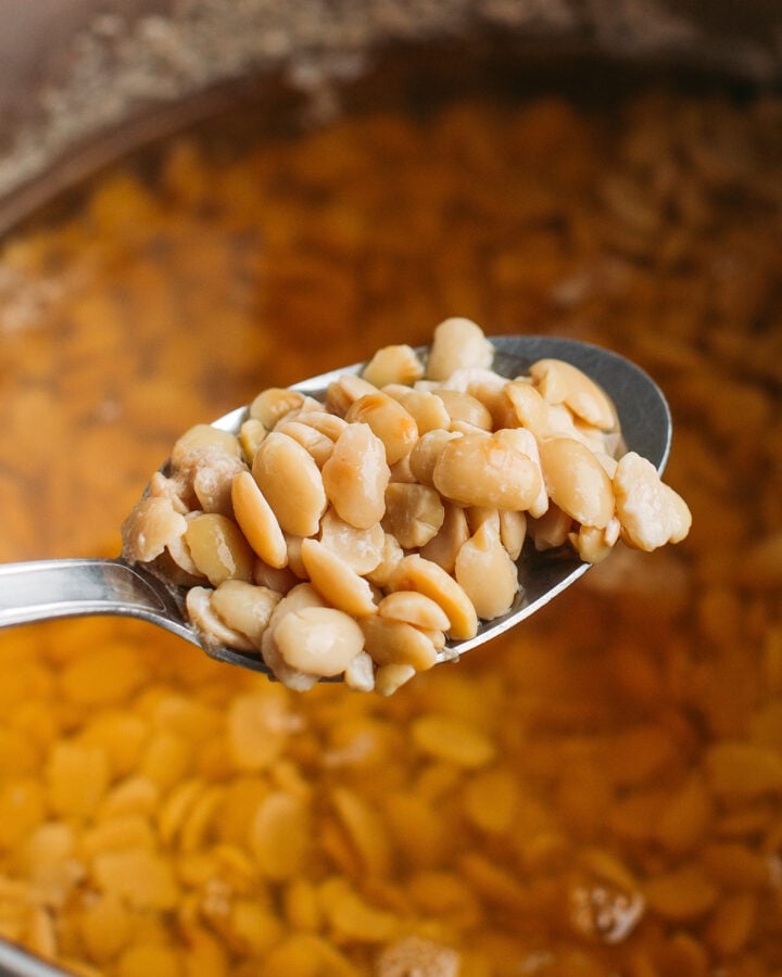 Spoonful of cooked soybeans.
