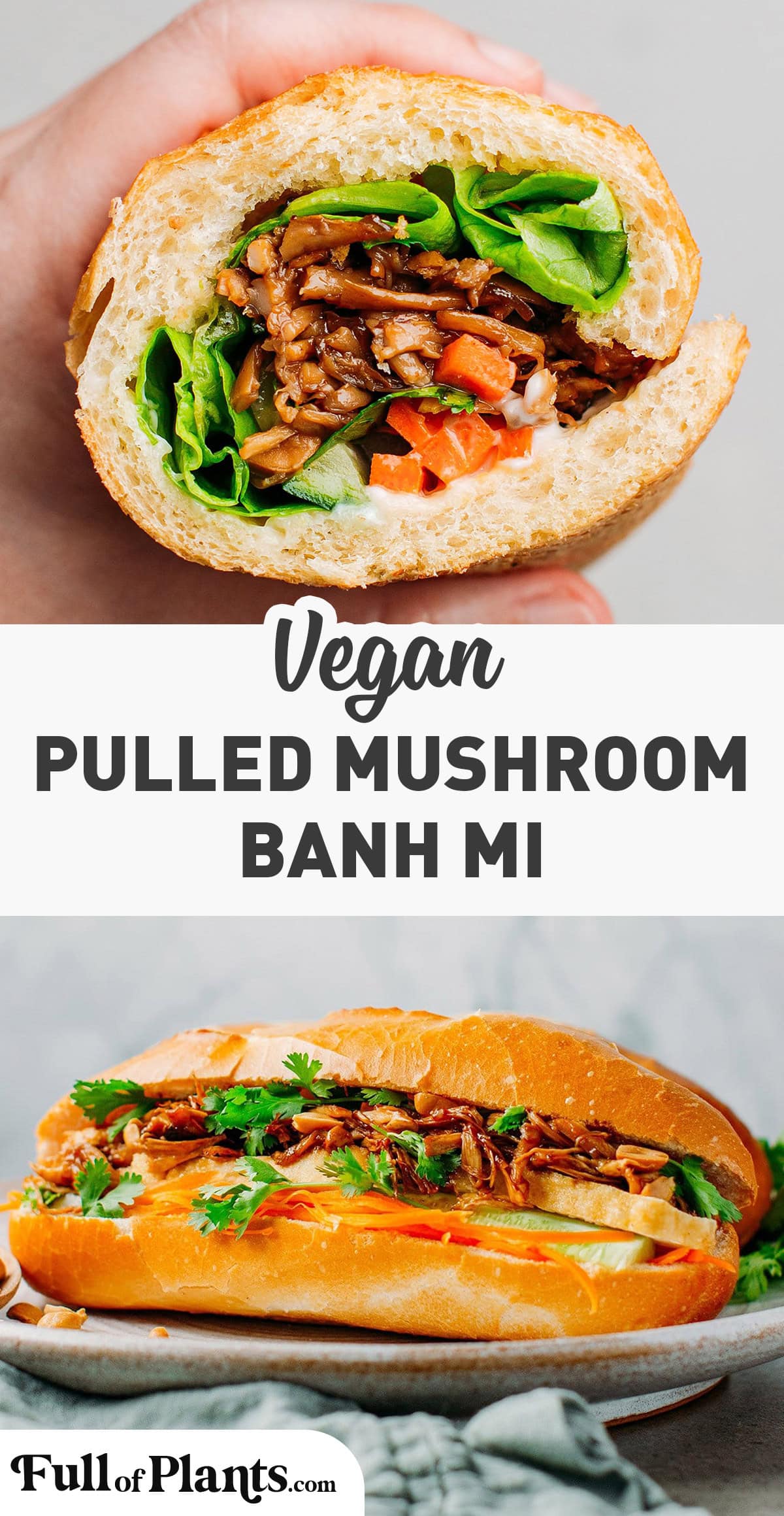 Vietnamese-inspired sandwich stuffed with pickled carrots, meaty and saucy pulled mushrooms, cilantro, and roasted peanuts! #banhmi #vegan #plantbased #mushroom