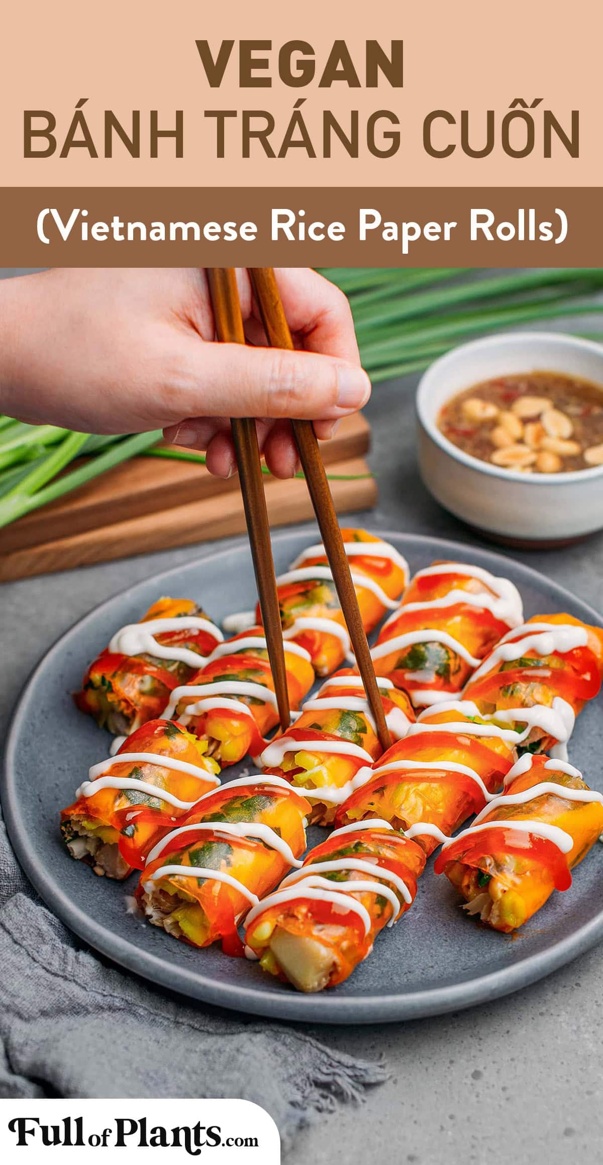 These rice paper rolls, also known as bánh tráng cuốn in Vietnamese, are filled with green mango, five-spice jackfruit, roasted peanuts, crispy fried onions, and Vietnamese coriander. They are then finished with a drizzle of mayo and sweet chili sauce! #vietnamese #ricepaper