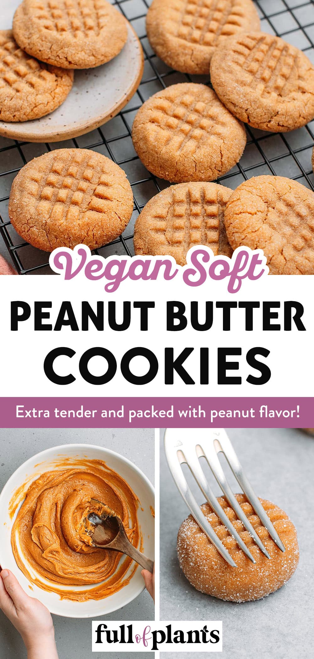 These vegan peanut butter cookies are extra tender with a buttery crumb and a TON of peanut flavor. Made with just 9 ingredients in one bowl, this classic is a must-try for any peanut butter lover!